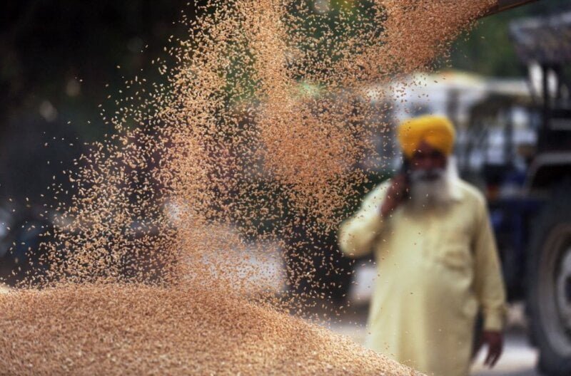 Divlja cena pšenice na svetskom tržištu nakon odluke Indije da zabrani izvoz