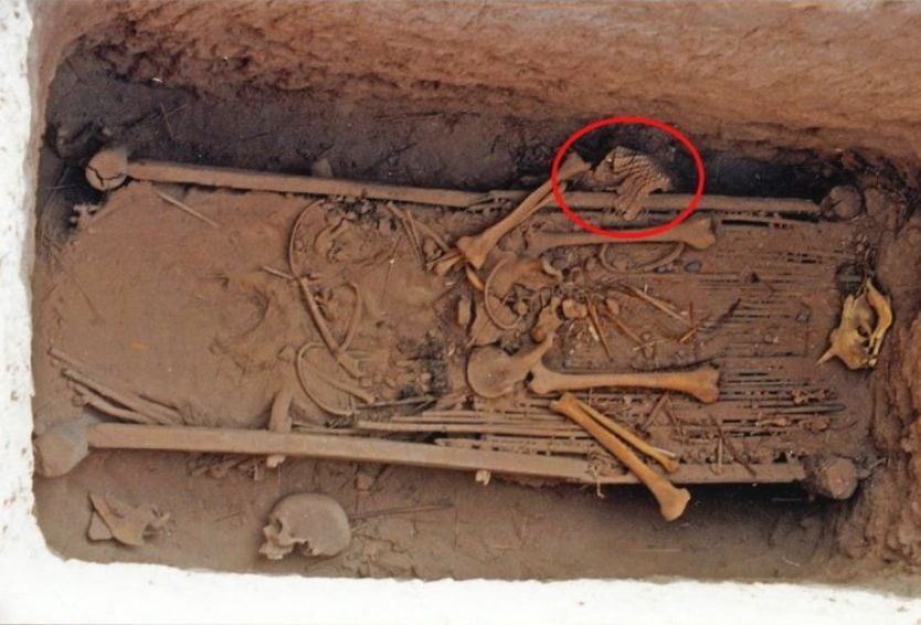 "Bionički" oklop nađen u grobnici staroj 2.500 godina