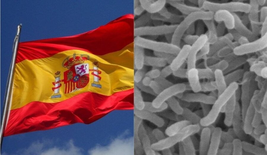 Španija je otkrila prvu lokalnu infekciju kolerom još od 1979. godine