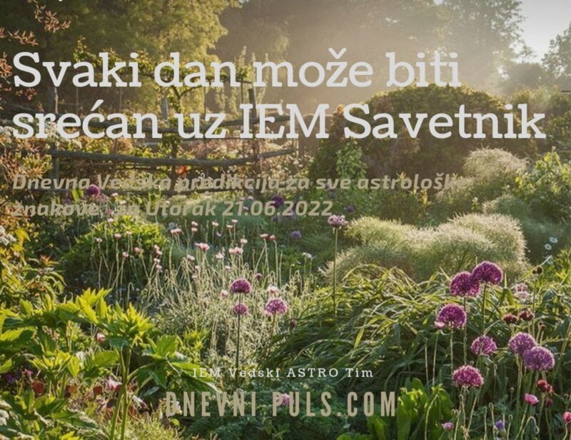 Svaki dan može biti srećan uz IEM Savetnik