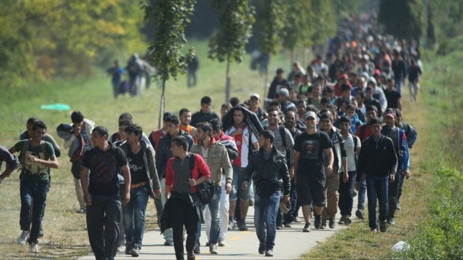 U borbi protiv ilegalne migracije policija u blizini Sombora privela 74 migranta