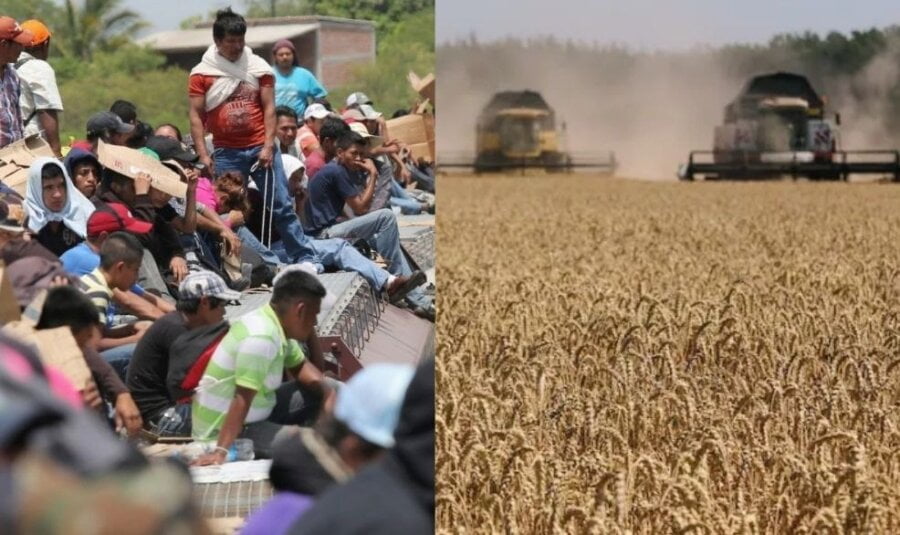 EU upozorava na „talas migracija“ izazvan globalnom krizom hrane