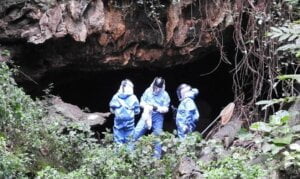 Smrtonosni virus Marburg - blizak rođak Ebole