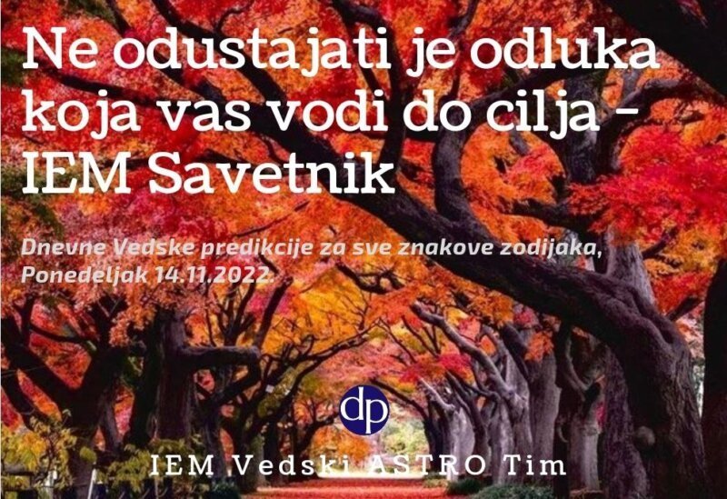 ne-odustajati-je-odluka-koja-vas-vodi-do-cilja-iem-savetnik