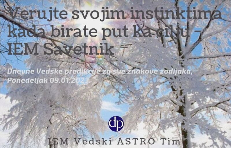 verujte-svojim-instinktima-kada-birate-put-ka-cilju-iem-savetnik