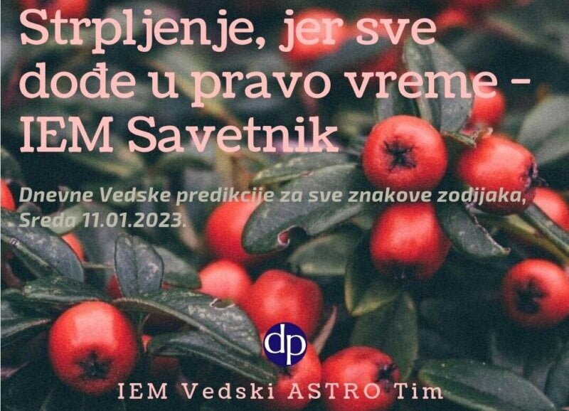 strpljenje-jer-sve-dodje-u-pravo-vreme-iem-savetnik