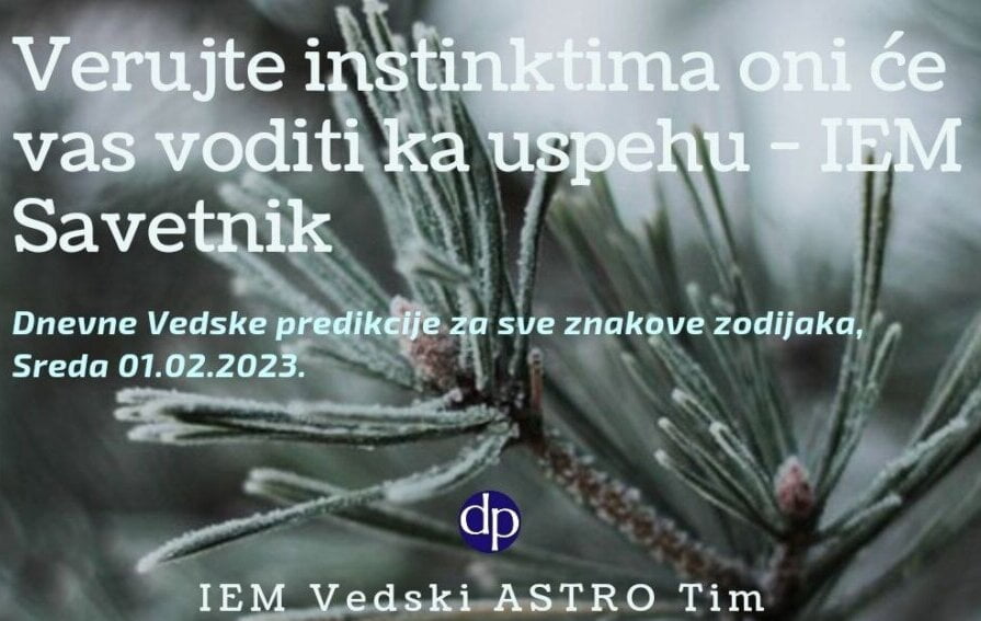 verujte-instinktima-oni-ce-vas-voditi-ka-uspehu-iem-savetnik