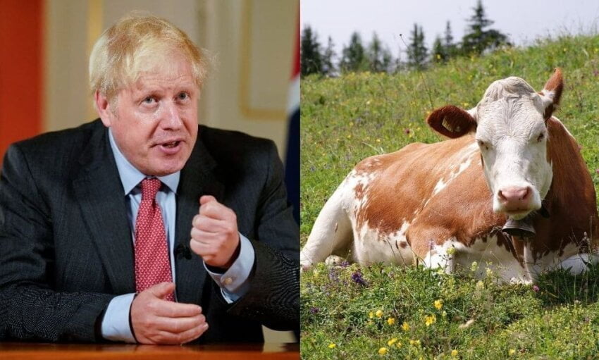 Boris Džonson crta krave od kada nije premijer Britanije