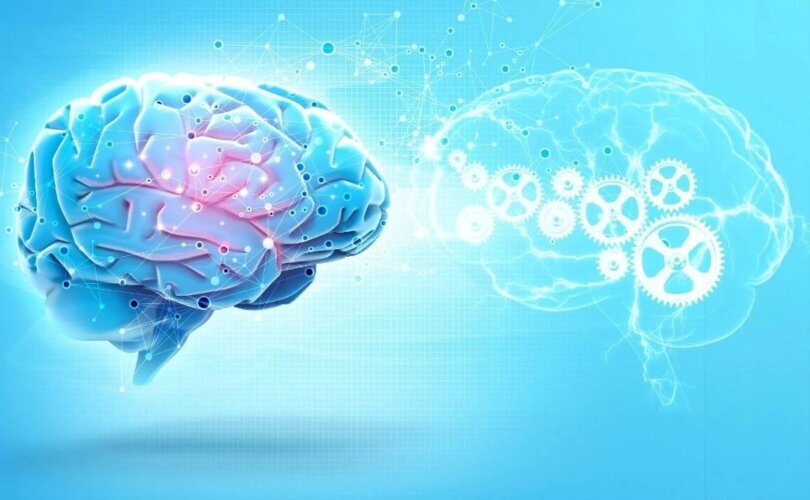 Naučnici koriste moždane ćelije da naprave veštačku inteligenciju