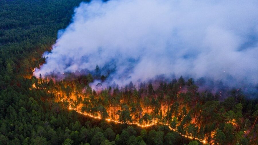 Požari besne u Sibiru - Na Dalekom istoku Rusije vanredna situacija